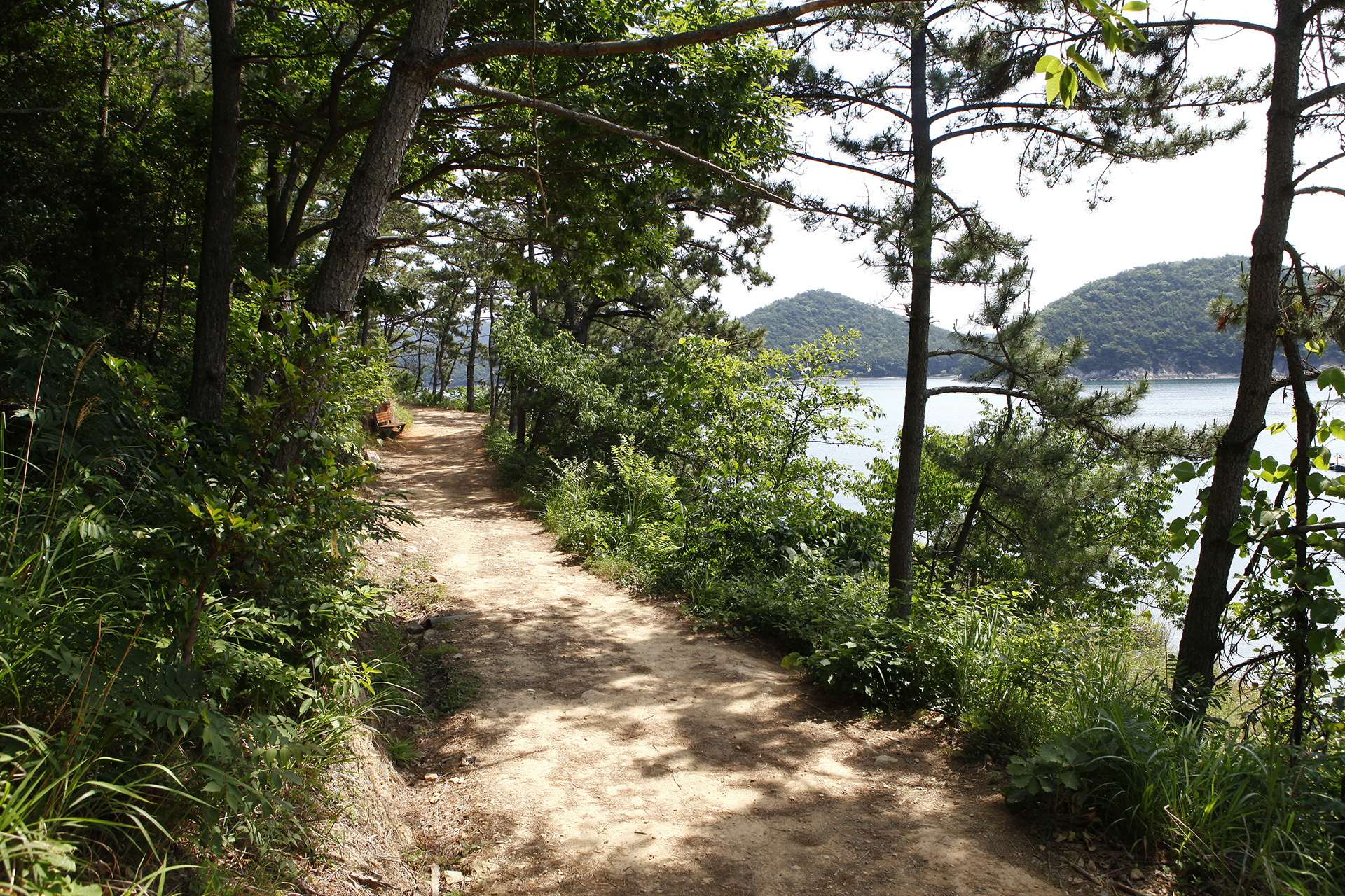 저도 비치로드